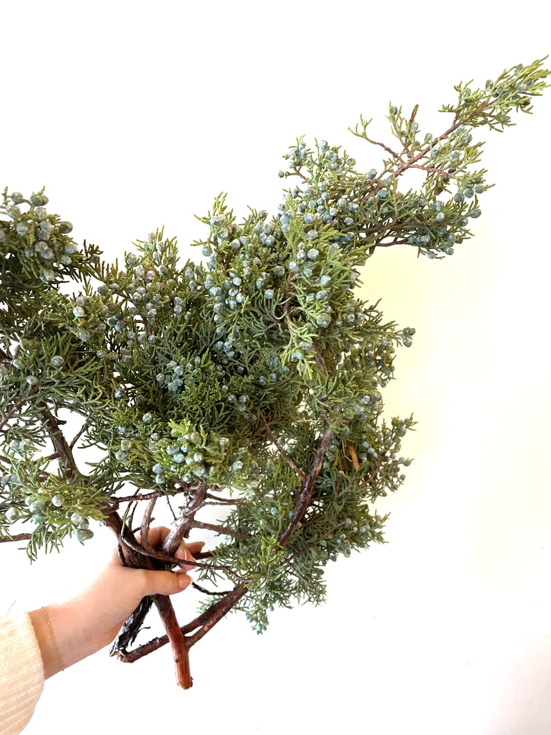 Berried Juniper