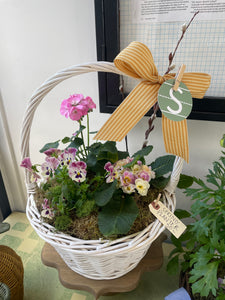 Mama Jo Planted Basket