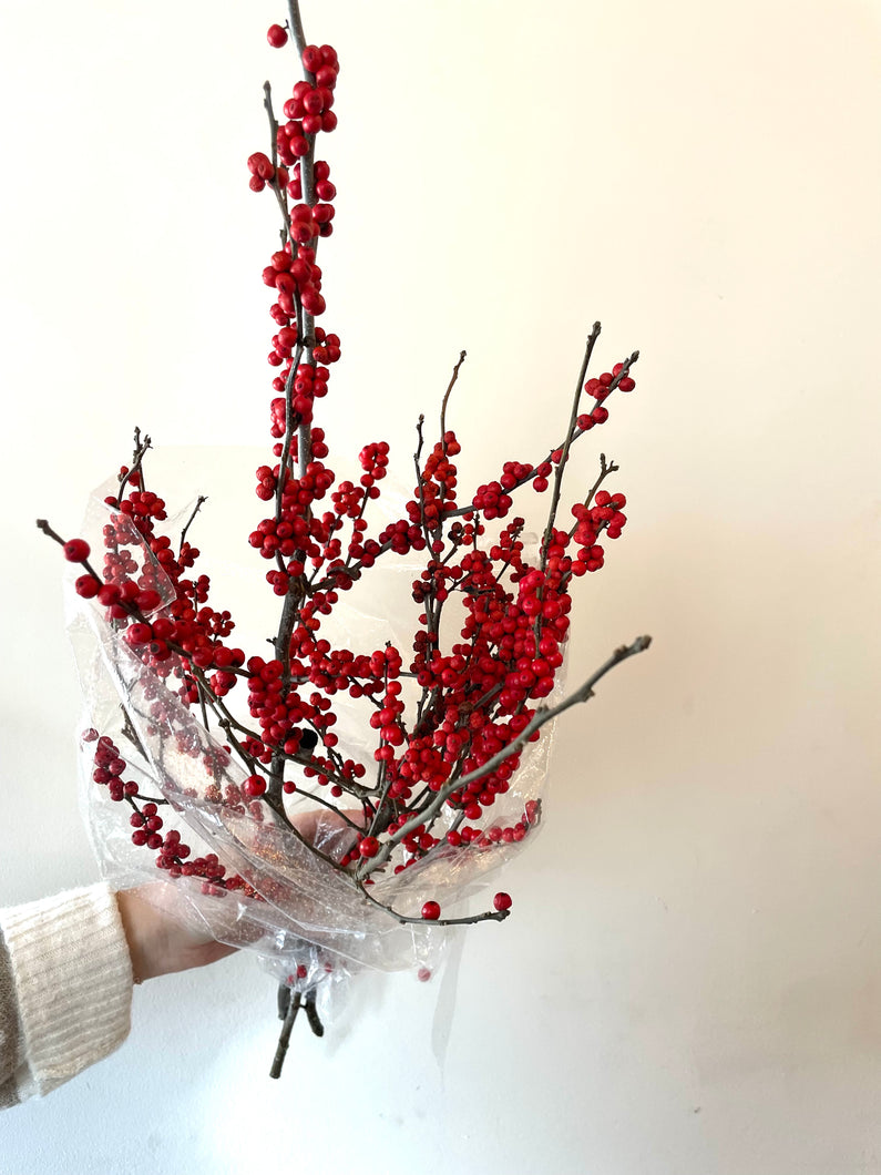 Red Winterberry