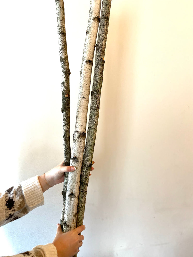 Birch Poles