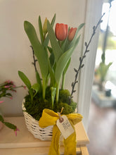 Load image into Gallery viewer, Mama Jo Planted Basket