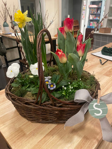 Mama Jo Planted Basket